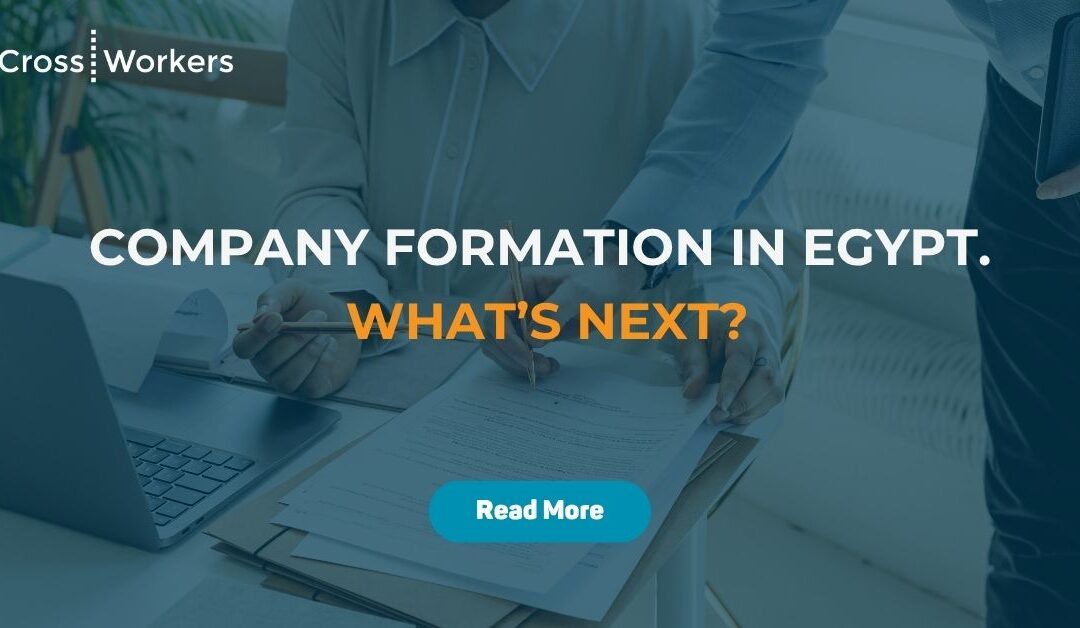 Business Setup in Egypt: What Comes After Company Formation?