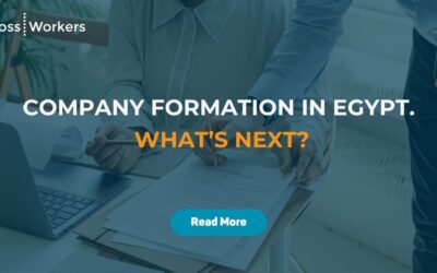 Business Setup in Egypt: What Comes After Company Formation?